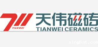 天伟磁砖